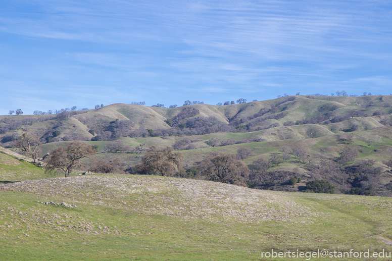 blue oak ranch reserve